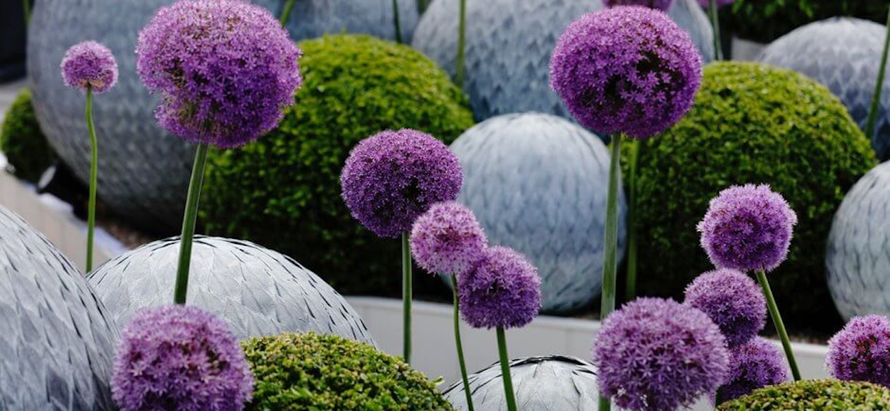 Flower display