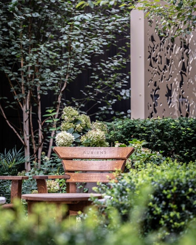 The garden at Auriens Chelsea
