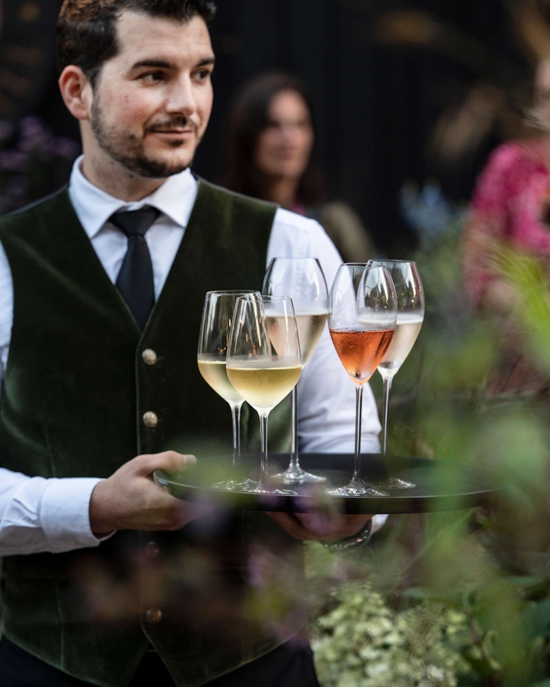 Auriens at Chelsea Flower Show
