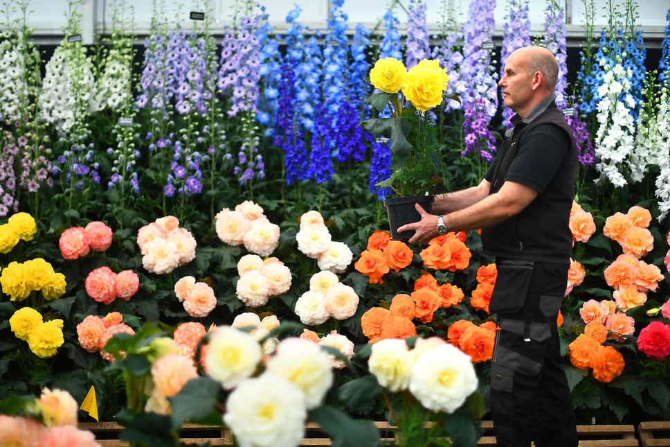 RHS Chelsea Flower Show