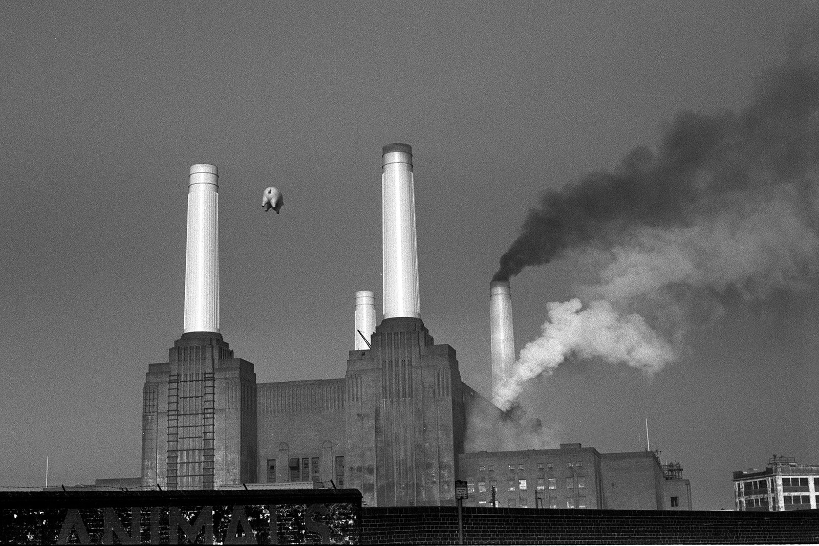 Pink Floyd at Battersea Power Station by Carinthia West