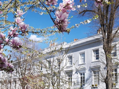 Chelsea during spring