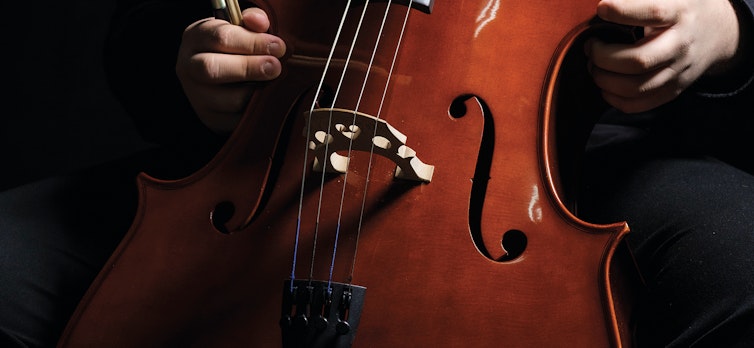 Double bass and musician