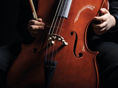 Double bass and musician