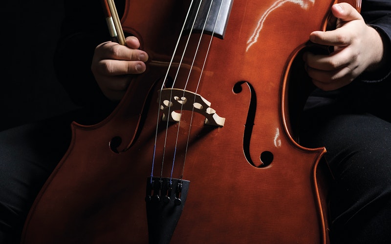 Double bass and musician