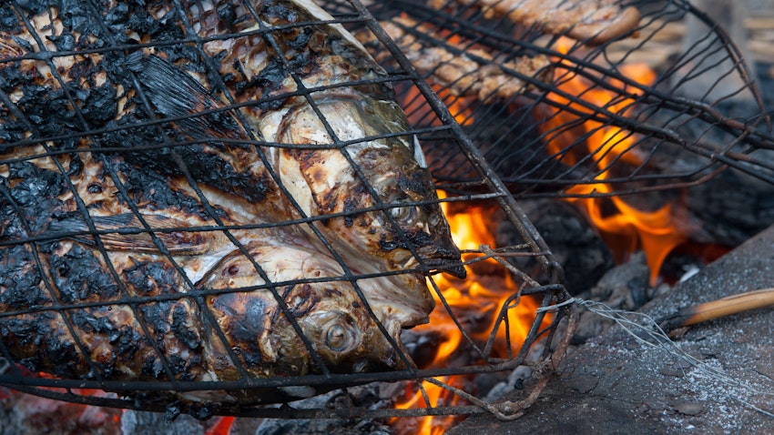 Photo taken on Nov. 3, 2018 showing grilled fish known as Masgouf cooked over an open fire in the southern marshes of Iraq. (Photo via Getty Images)