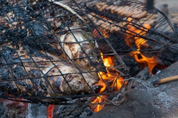 Photo taken on Nov. 3, 2018 showing grilled fish known as Masgouf cooked over an open fire in the southern marshes of Iraq. (Photo via Getty Images)