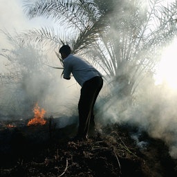 مردی عراقی، در تلاش برای خاموش‌کردن آتش؛ بغداد، ۲۱ شهریور ۱۳۸۳/ ۱۱ سپتامبر ۲۰۰۴. (عکس از گتی ایمیجز)