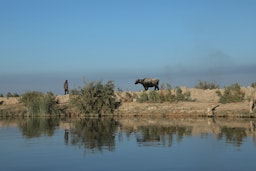 The Chibayesh marshland in southern Iraq on Nov. 10, 2021. (Photo via Getty Images)