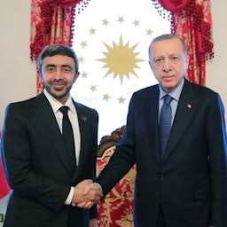 Turkish President Recep Tayyip Erdogan receives Emirati Foreign Minister Sheikh Abdullah bin Zayed Al Nahyan in Istanbul on May 28, 2022. (Handout photo via WAM)