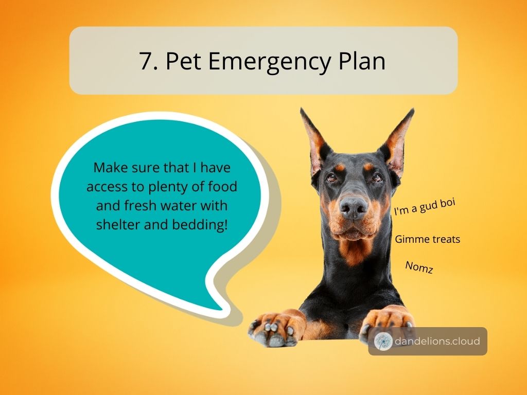 Make sure that your pets have access to food, water, shelter and bedding