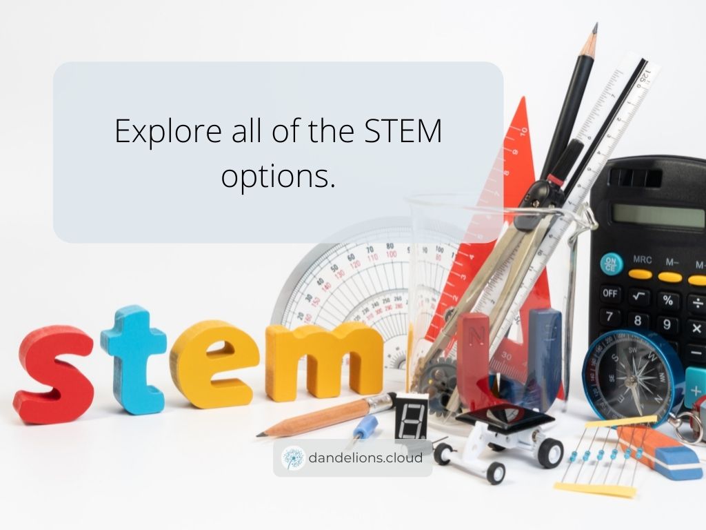 Explore all of the STEM options