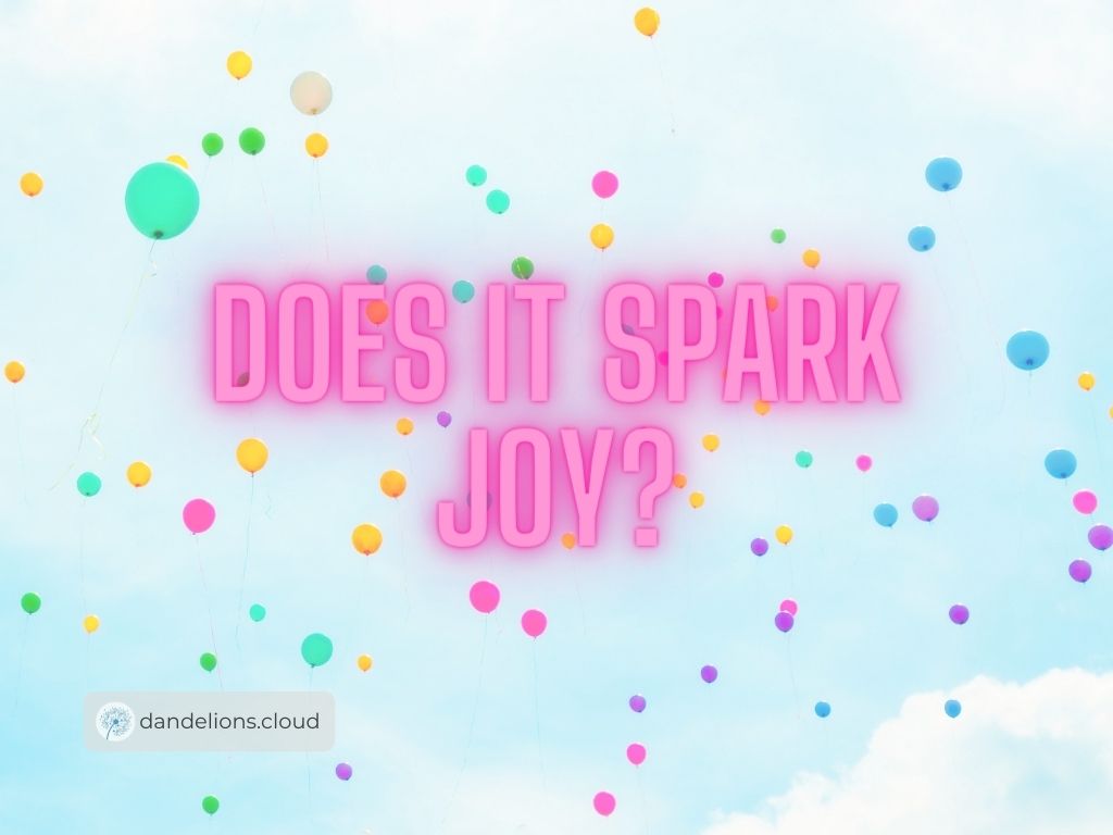 does it spark joy?