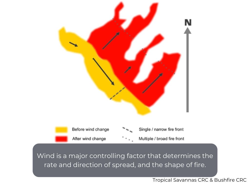 Wind is a major controlling factor that determines the rate and direction of spread, and the shape of fire.