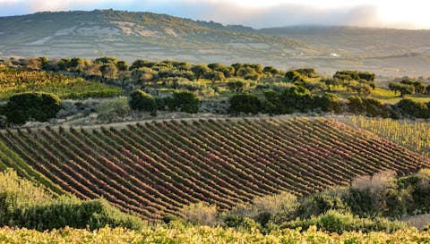 Terroir Terroir