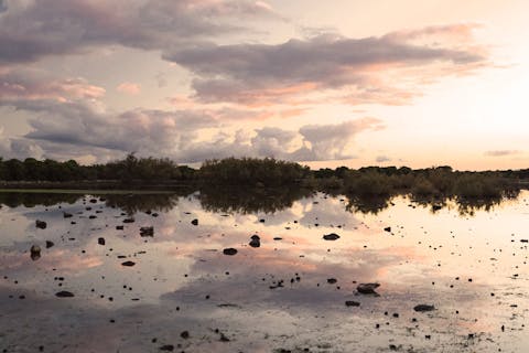 Giara di gesturi Giara di Gesturi ambiente palustre
