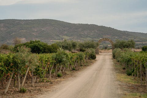 Landscape of Olianas