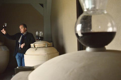 Taste of the wines