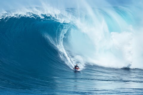 Francisco Porcella surf