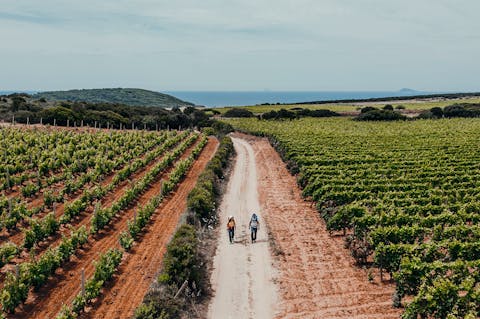 Il cammino minerario di Santa Barbara - Sardegna