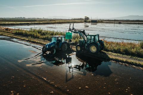 Trattori agricoli operano in un campo allagato per preparare il terreno alla coltivazione del riso.