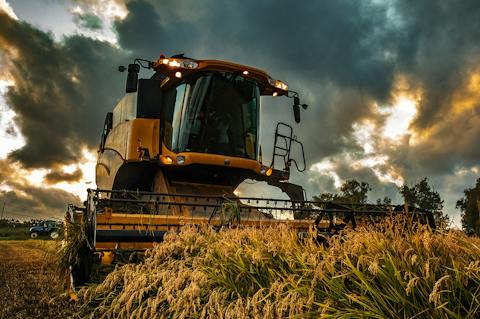 Mietitrebbia al lavoro in un campo agricolo durante la raccolta, con la luce calda del tramonto.