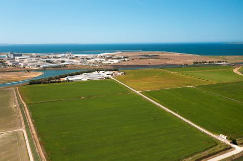 Veduta aerea dei campi agricoli e delle risaie nella pianura di Oristano, vicino alla costa sarda.
