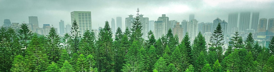 Nature skyline