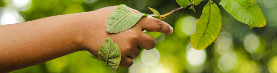 Handshake with nature