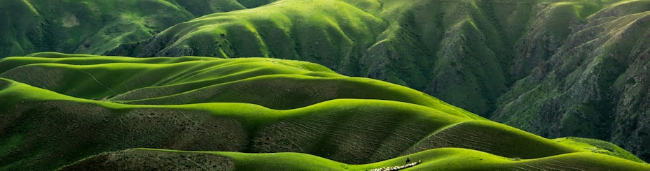 Green hills