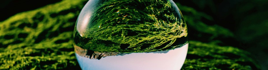 Drop view