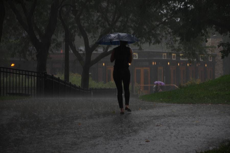 North Pond Promenade