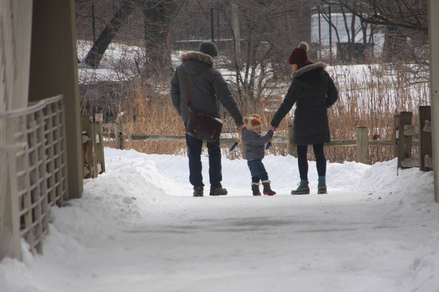 North Pond Promenade