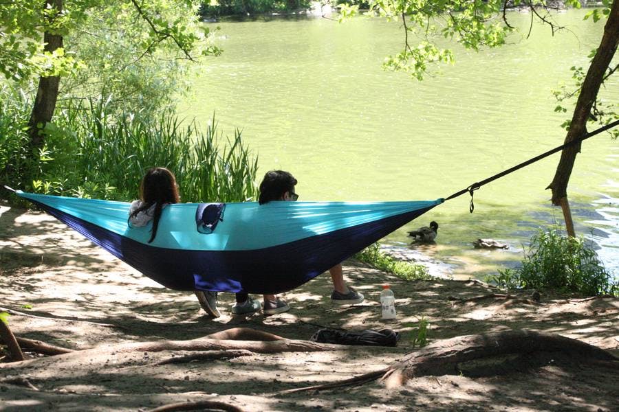 North Pond Live