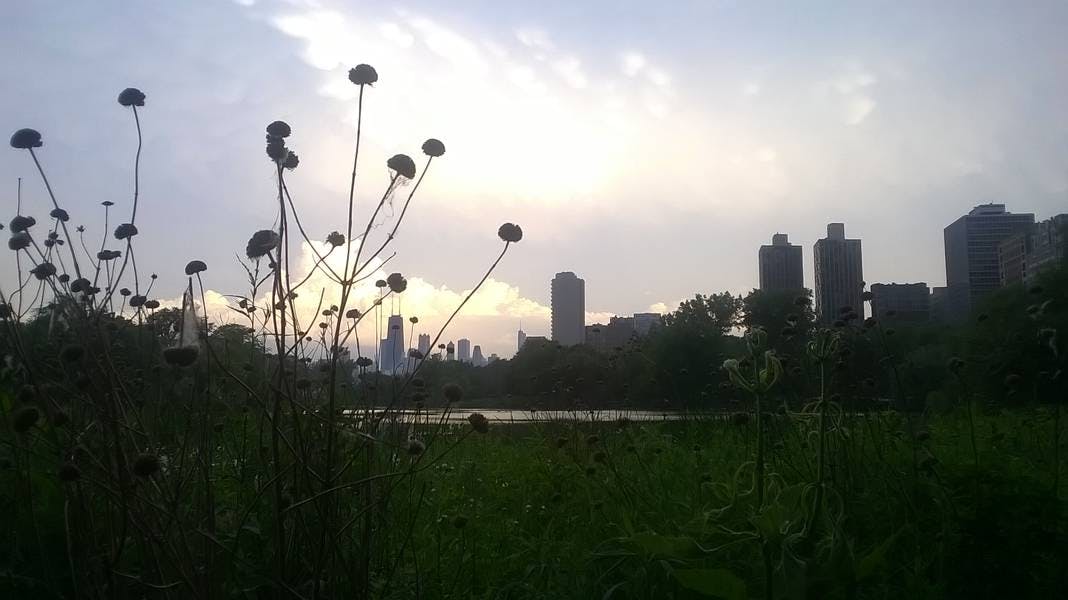 North Pond Views
