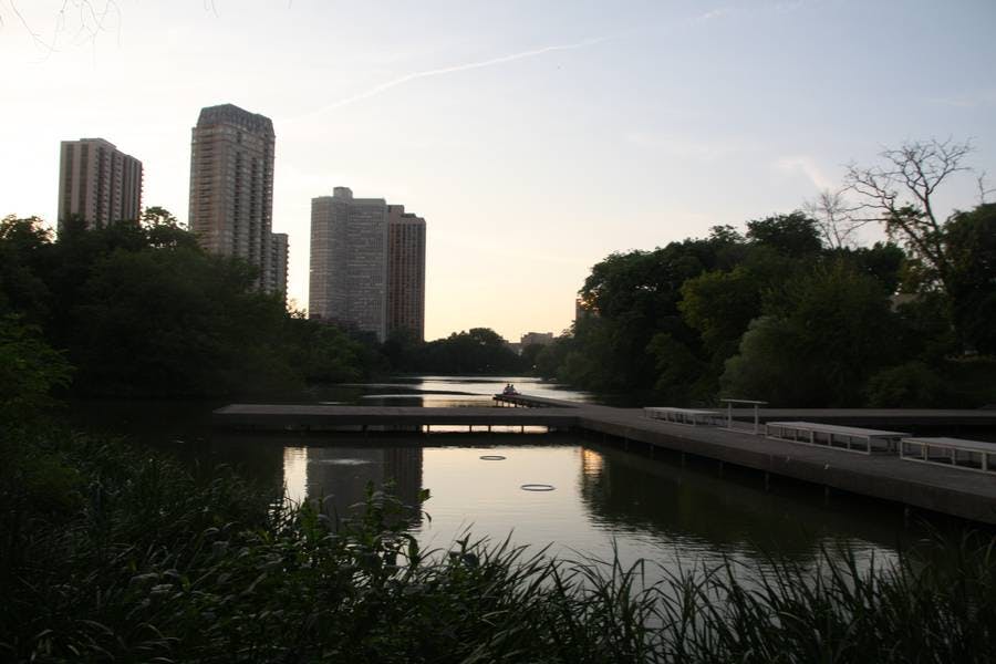 North Pond Views