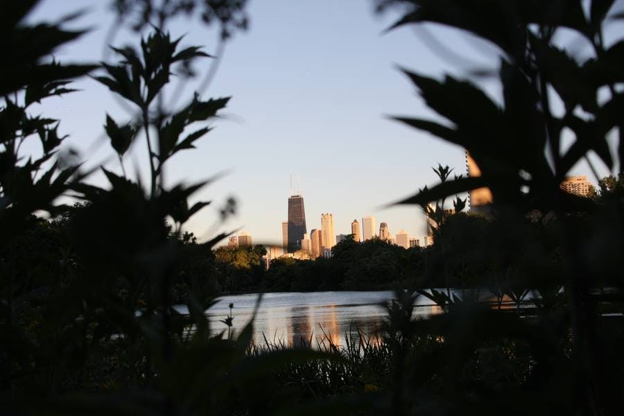 North Pond Views