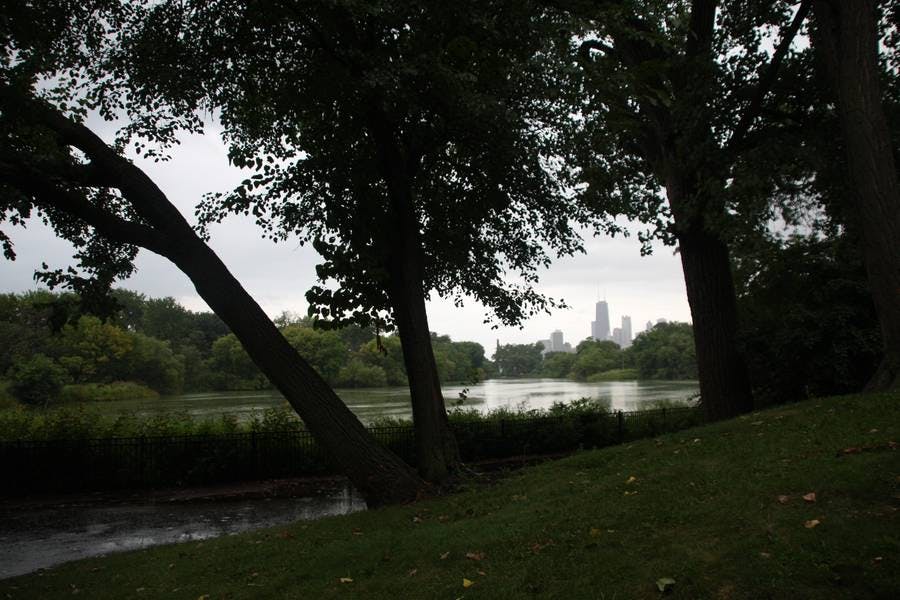 North Pond Views