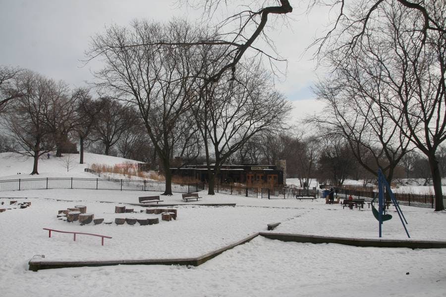North Pond Views
