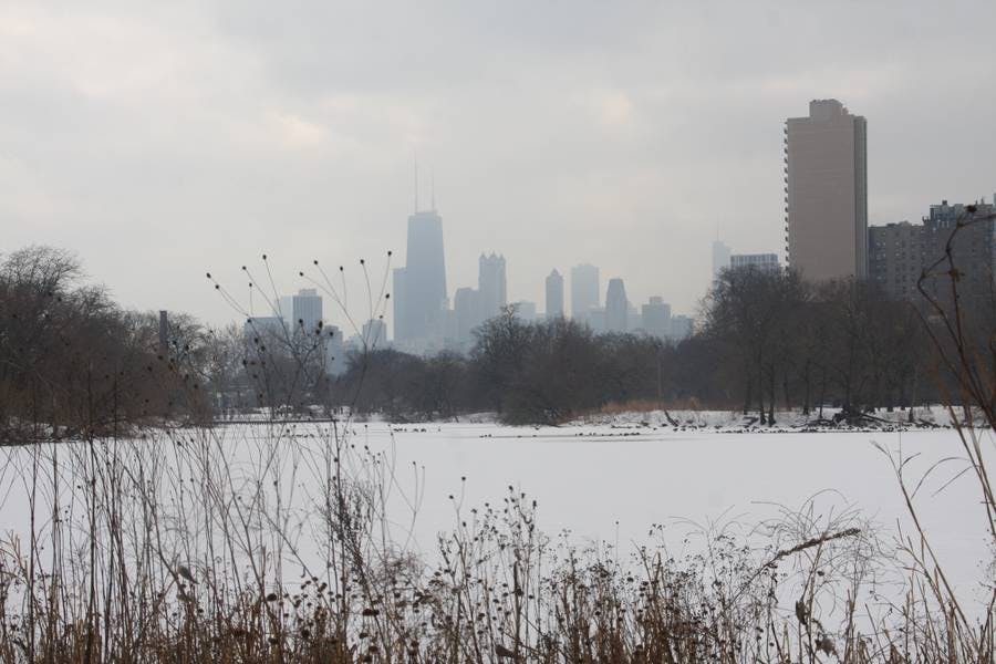 North Pond Views