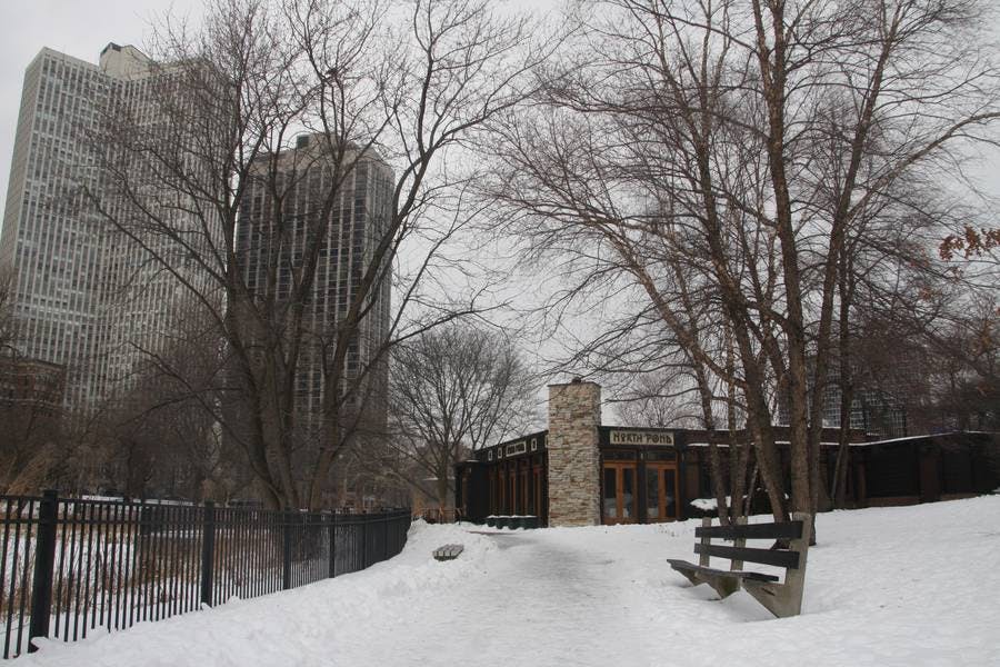 North Pond Views