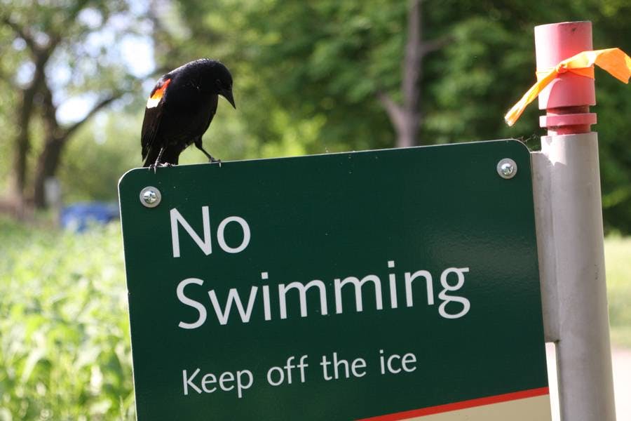 North Pond Residents
