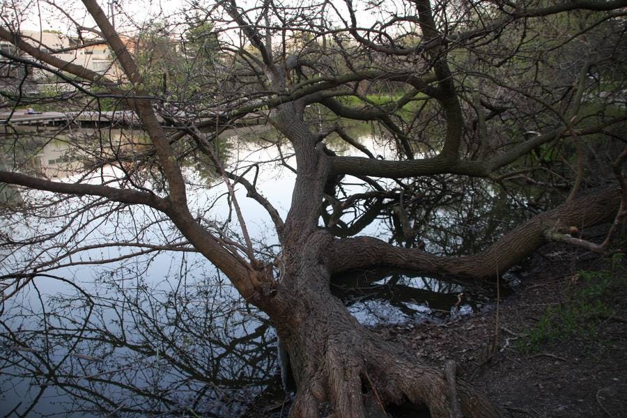 North Pond Landmarks