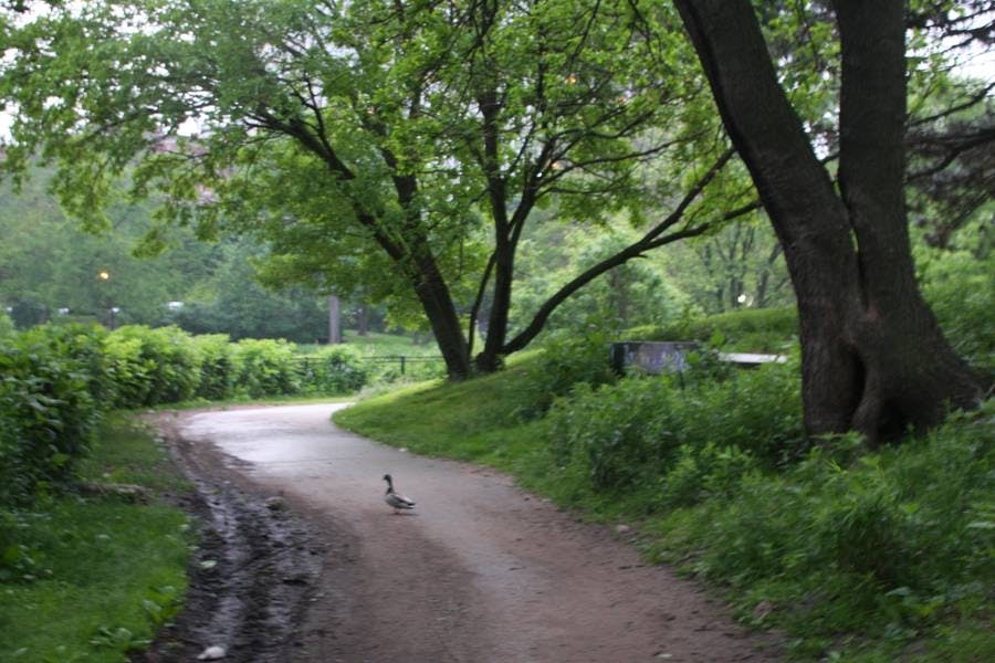 North Pond Landmarks