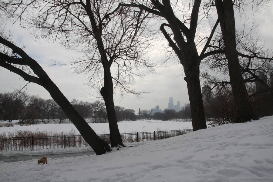 North Pond Landmarks