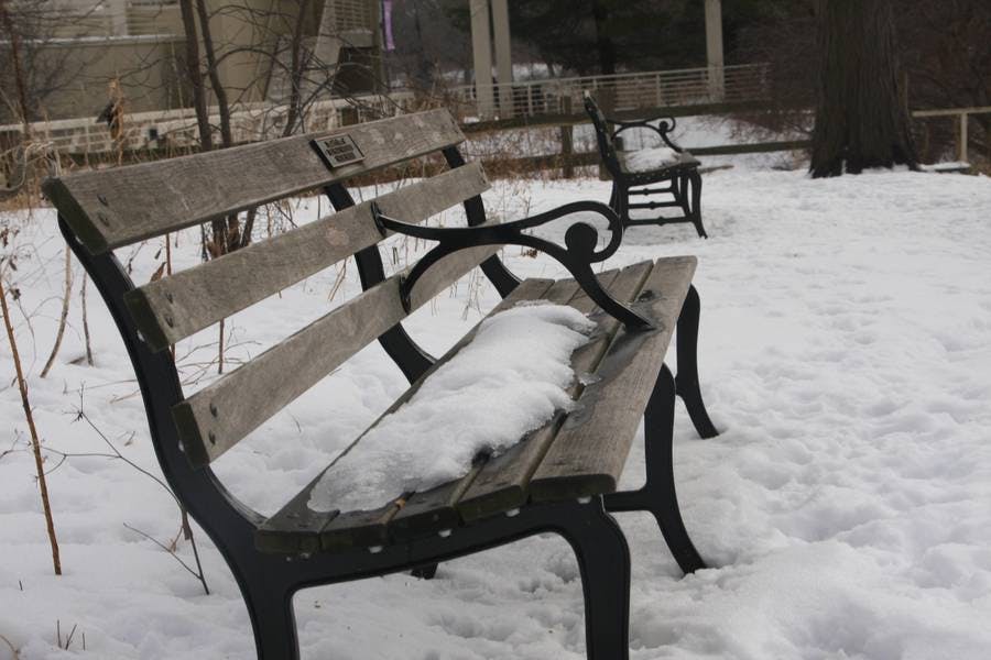 North Pond Landmarks