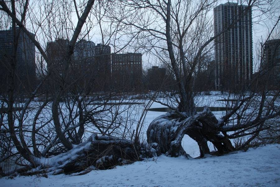 North Pond Landmarks