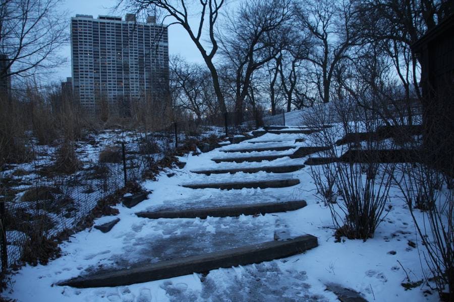 North Pond Landmarks