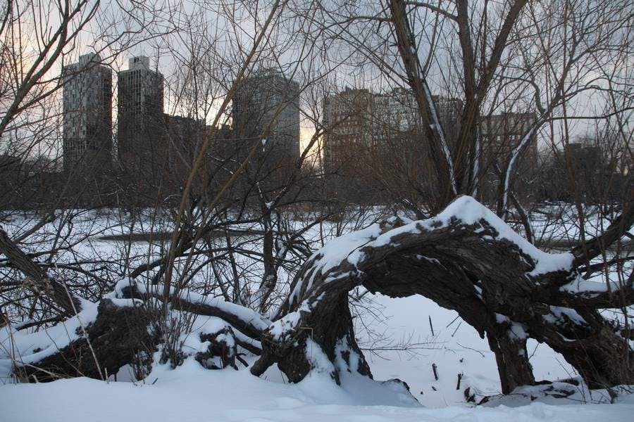 North Pond Landmarks