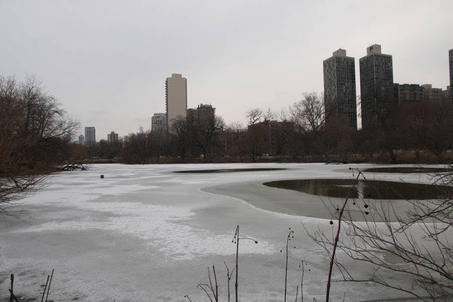 North Pond Landmarks